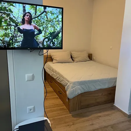 Noa - Designed Garden In The Center