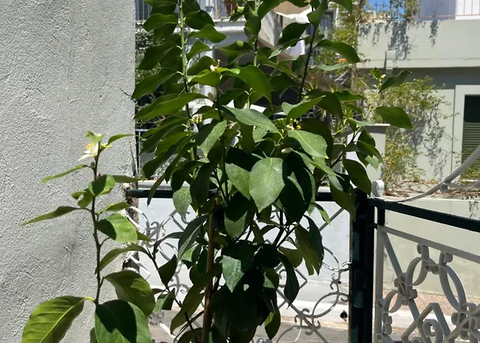 Noa - Designed Garden In The Center 칼라마타